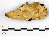 登錄號:F0020803藏品圖，第1張