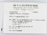 館號:F0020804藏品圖，第2張