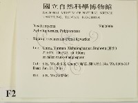 登錄號:F0020806藏品圖，第2張