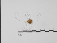 登錄號:F0020806藏品圖，第3張