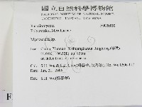 登錄號:F0020810藏品圖，第2張