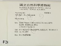 登錄號:F0020811藏品圖，第2張