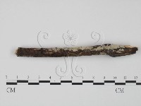 登錄號:F0020811藏品圖，第3張