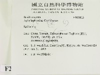 登錄號:F0020813藏品圖，第2張