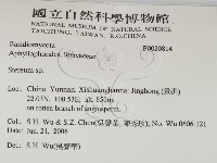 韌革菌屬藏品圖，第2張