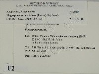 登錄號:F0020815藏品圖，第2張