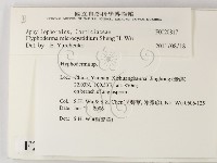 登錄號:F0020817藏品圖，第2張