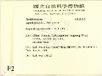 館號:F0020822藏品圖，第2張