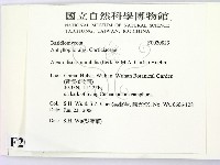 登錄號:F0020823藏品圖，第2張