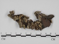 登錄號:F0020826藏品圖，第1張