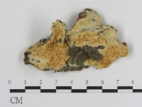 登錄號:F0020827藏品圖，第1張
