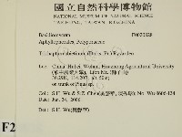 登錄號:F0020828藏品圖，第2張