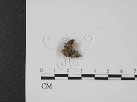 登錄號:F0020828藏品圖，第1張