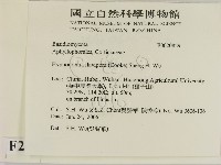 登錄號:F0020829藏品圖，第2張