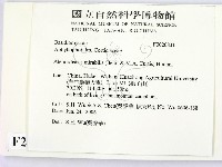 登錄號:F0020831藏品圖，第2張