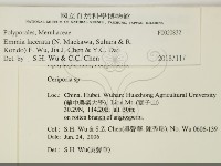 登錄號:F0020832藏品圖，第2張