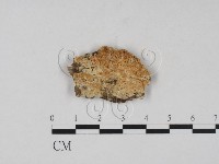 登錄號:F0020832藏品圖，第1張