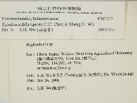 登錄號:F0020833藏品圖，第2張