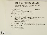 筍殼菌屬藏品圖，第2張