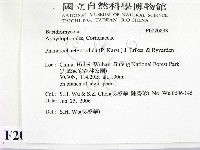 登錄號:F0020838藏品圖，第2張