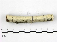 登錄號:F0020838藏品圖，第1張
