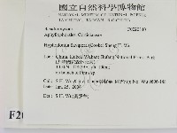 登錄號:F0020840藏品圖，第2張