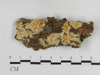 登錄號:F0020840藏品圖，第1張