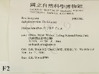 登錄號:F0020841藏品圖，第2張
