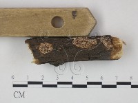 登錄號:F0020841藏品圖，第3張