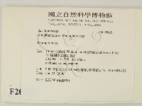 筍殼菌屬藏品圖，第2張