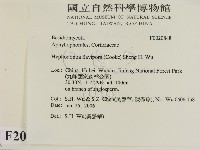 登錄號:F0020848藏品圖，第2張