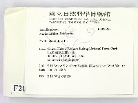 登錄號:F0020853藏品圖，第2張
