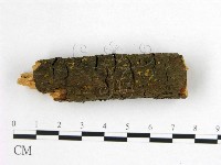 登錄號:F0020855藏品圖，第1張