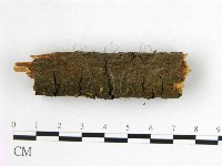 登錄號:F0020855藏品圖，第3張