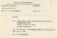 登錄號:F0020858藏品圖，第4張
