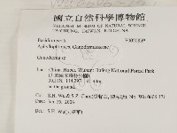 靈芝屬藏品圖，第2張