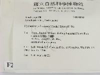 登錄號:F0020860藏品圖，第2張
