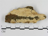 登錄號:F0020860藏品圖，第1張