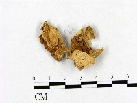 登錄號:F0020863藏品圖，第3張