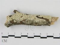 登錄號:F0020865藏品圖，第1張