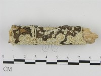 登錄號:F0020865藏品圖，第3張