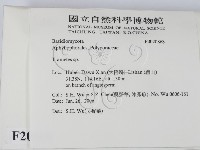 栓菌屬藏品圖，第2張