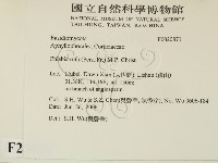 登錄號:F0020871藏品圖，第2張