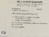 登錄號:F0020872藏品圖，第2張