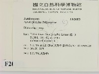 登錄號:F0020873藏品圖，第2張