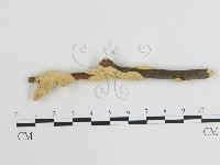 登錄號:F0020873藏品圖，第1張