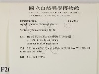 裂褶菌藏品圖，第2張