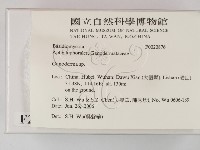靈芝屬藏品圖，第2張