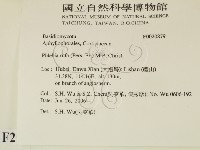 登錄號:F0020879藏品圖，第2張