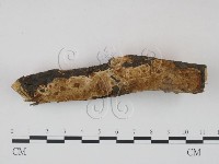 登錄號:F0020879藏品圖，第3張